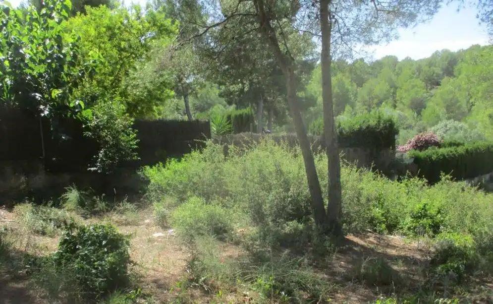 CATLLAR, EL (Tarragona). c/ Libertad, 4., imatge 2