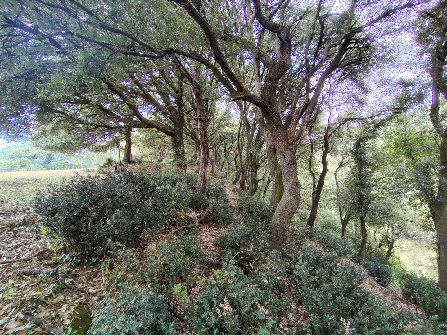 Vista exterior de Finca rústica en venda en Urduña / Orduña