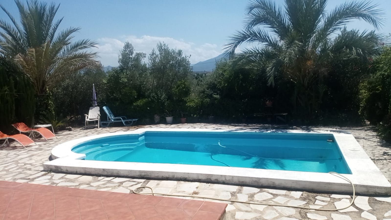 Piscina de Casa o chalet en venta en Benigànim con Piscina