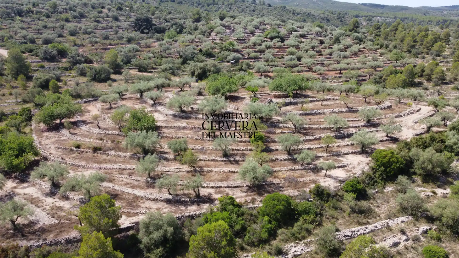 Terreno rustico in vendita a Cervera del Maestre, imagen 20