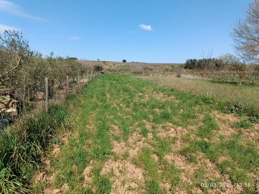 Rustikales Grundstück zum Verkauf in Sant Julià, imagen 8