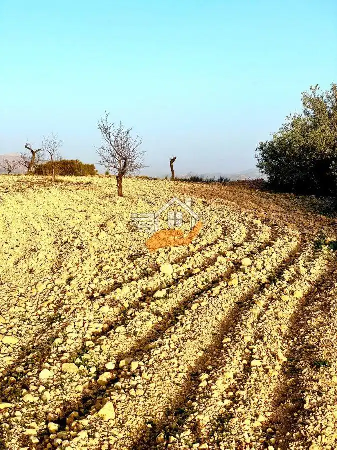 Lands and plots for sale in Vélez-Rubio, imagen 5