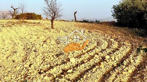 Terreno en venta en VélezRubio., immagine 5
