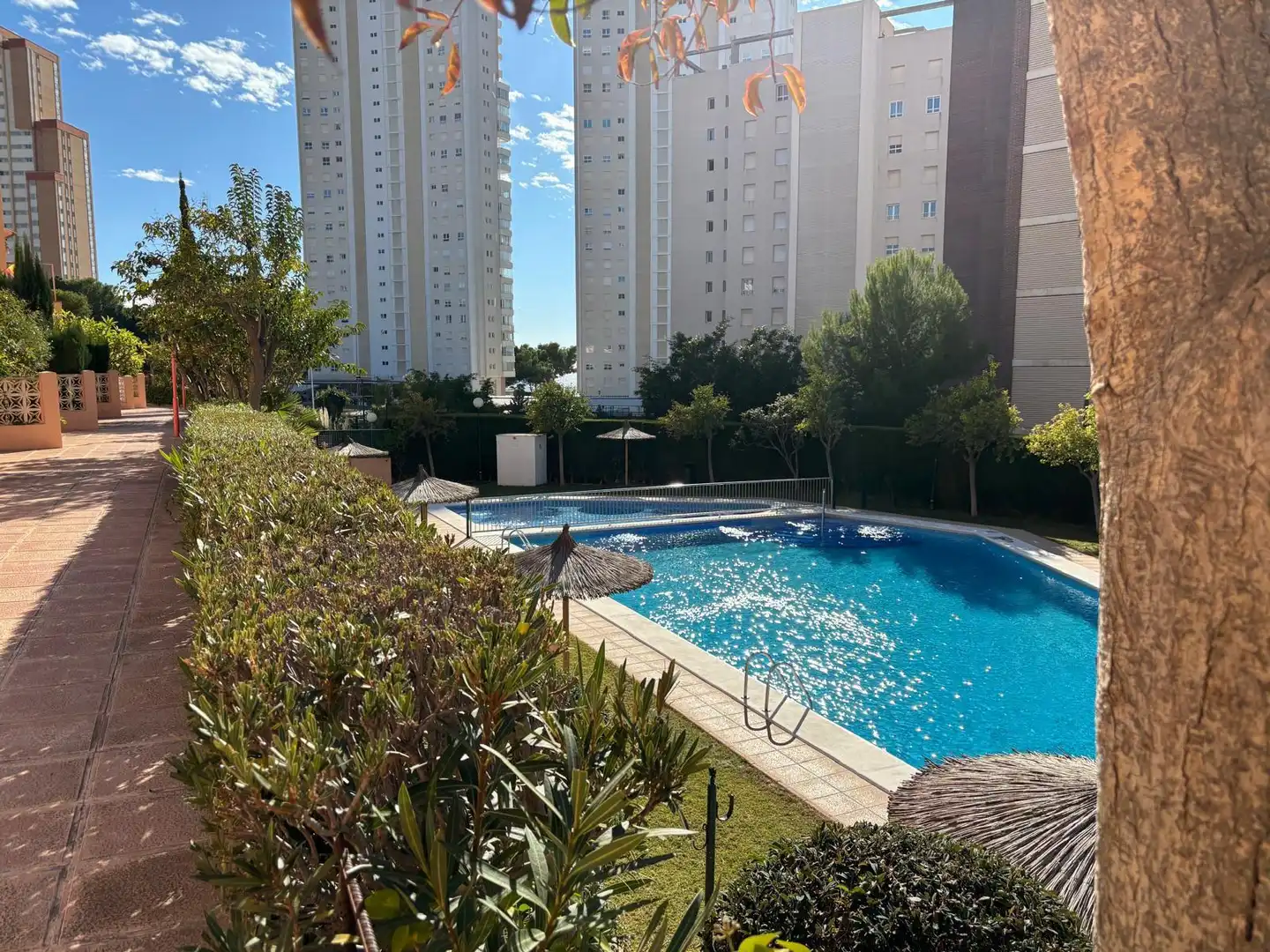 Apartment mit Pool zum Verkauf in Playa de Poniente, imagen 14
