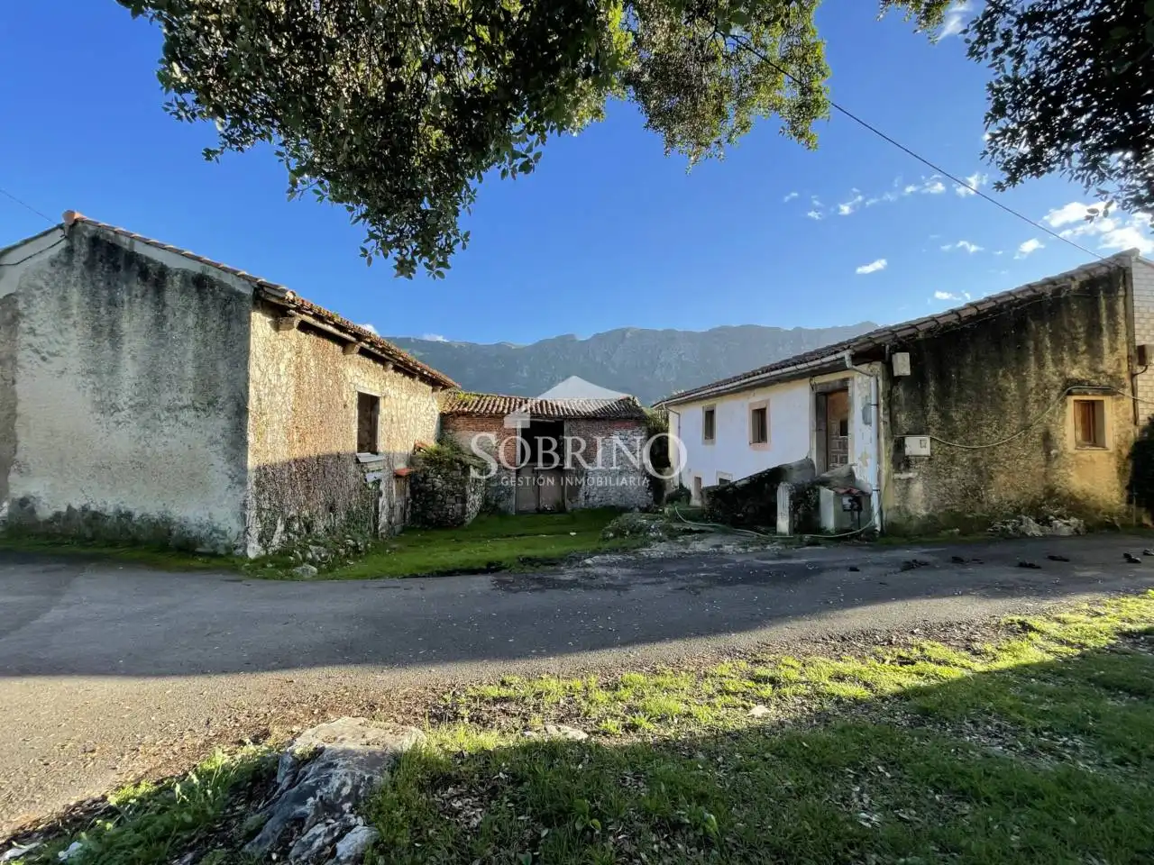 Vista exterior de Casa o chalet en venta en Llanes con Jardín privado