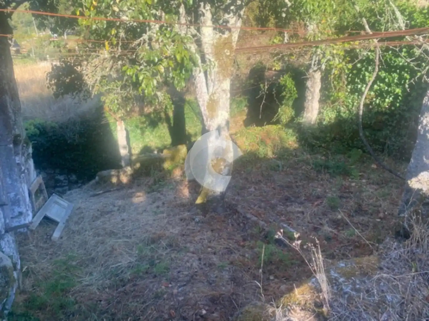 Casa amb jardí en venda a Entrimo, imagen 9