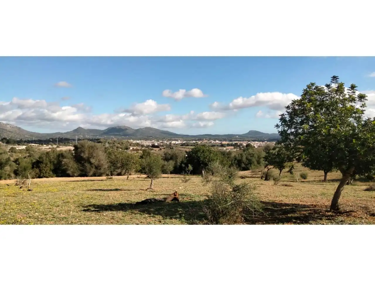 Rural land for sale in Poligono 5 723, imagen 41