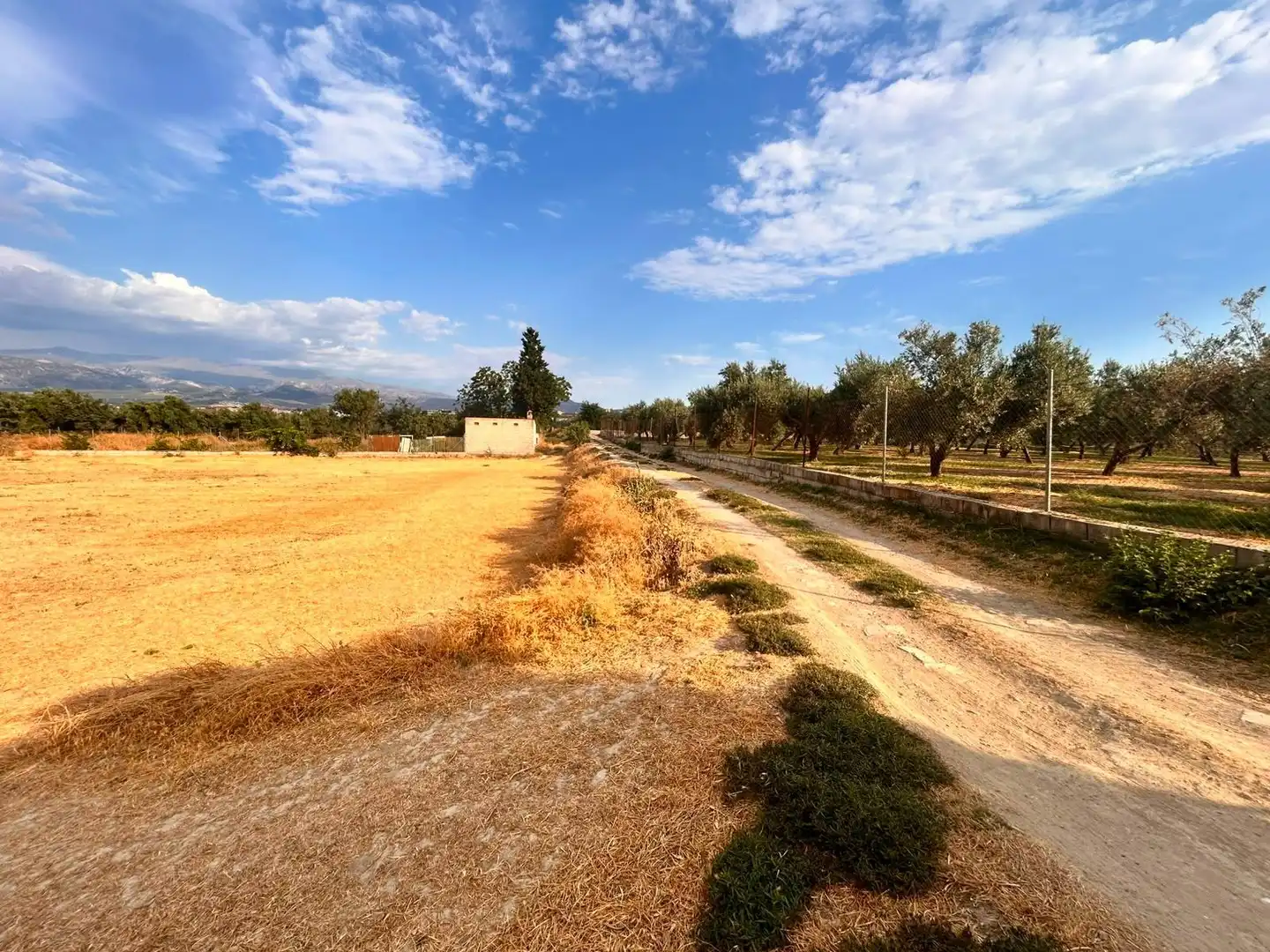 Land for sale in Las Gabias
