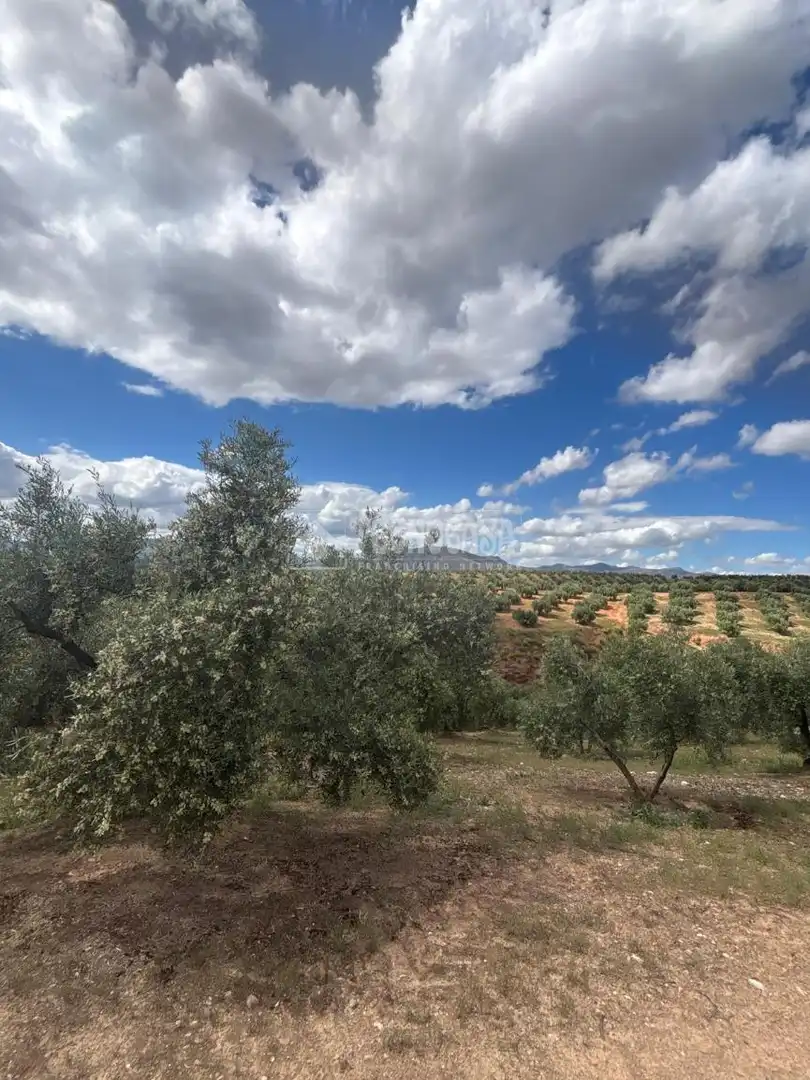 Terreno rustico in vendita a Calicasas, imagen 4