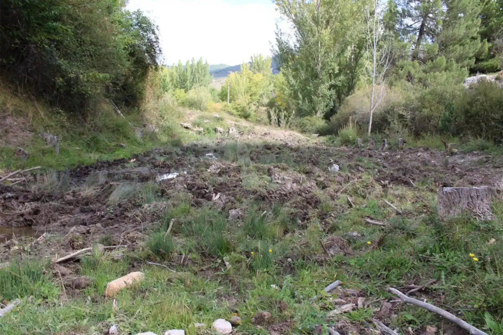 Finca rústica en venta en Quéntar