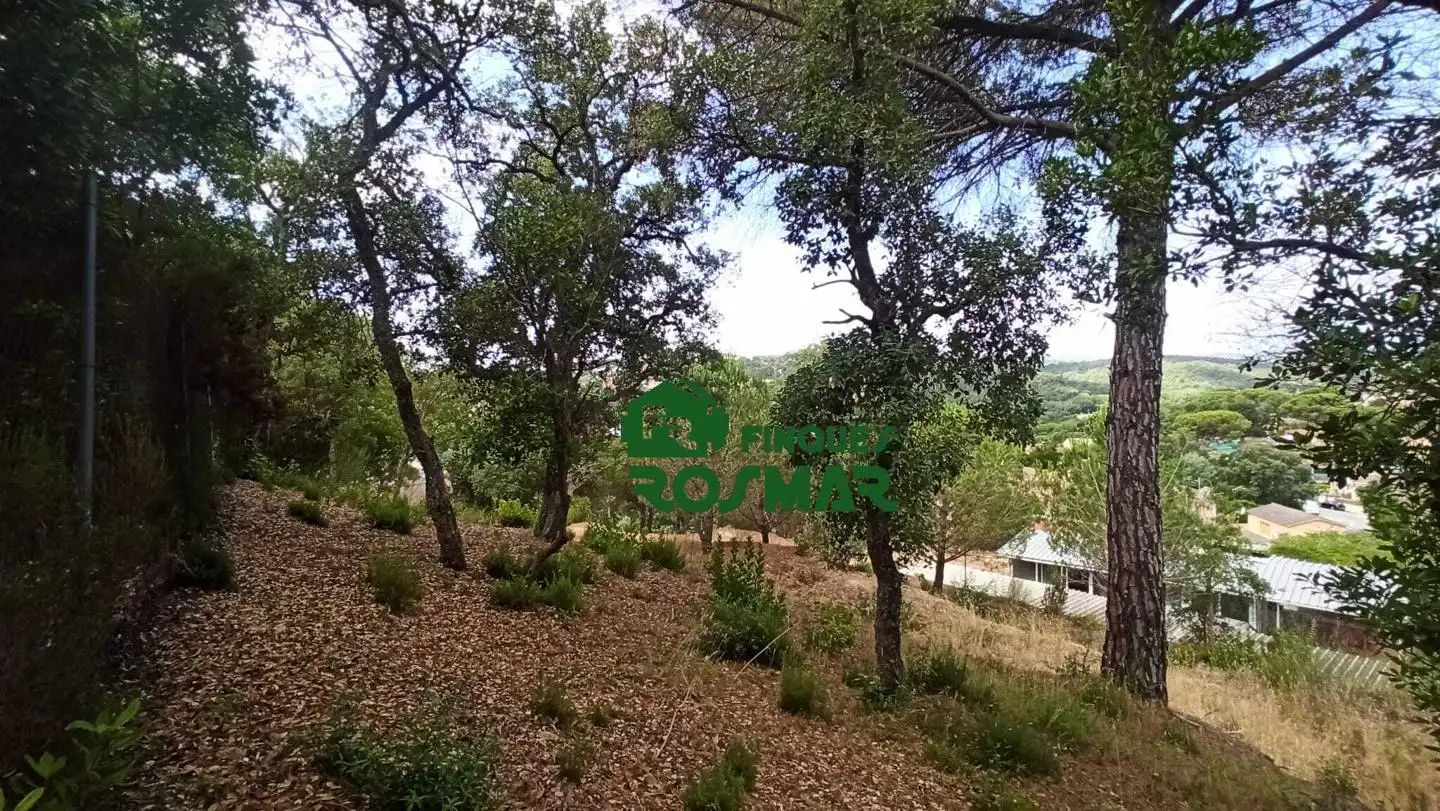 Terrenos y solares en venta en Aiguaviva Parc, imagen 17