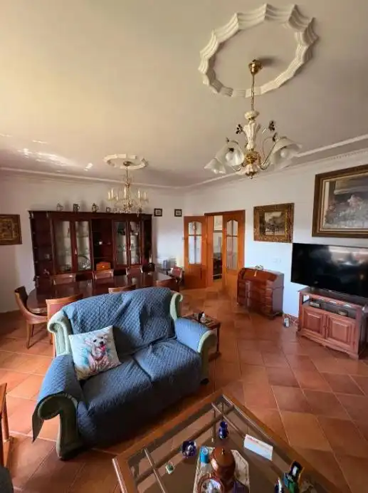 Sala d'estar de Finca rústica en venda en Chiclana de la Frontera amb Aire condicionat, Jardí privat i Terrassa