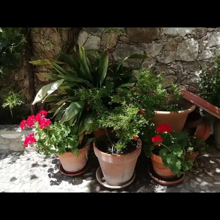 Terraza de Finca rústica en venta en Villaluenga del Rosario con Jardín privado, Terraza y Amueblado