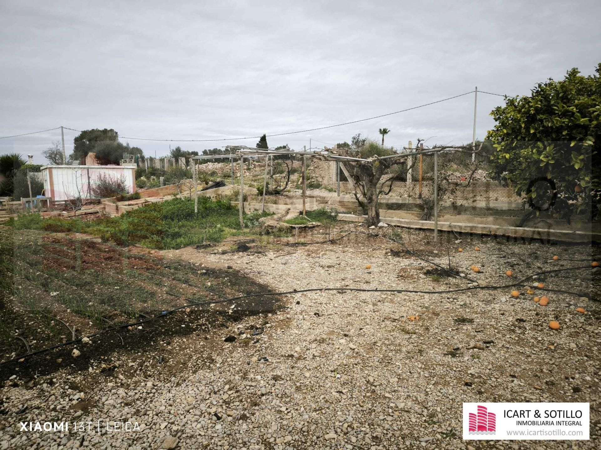 Finca rústica en venda en Benicarló amb Piscina