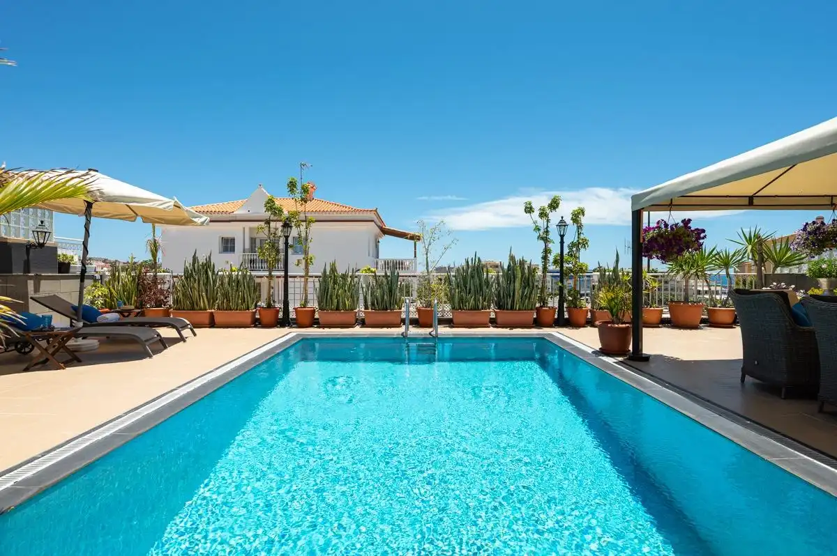 Piscina de Casa adosada en venda en Mogán amb Jardí privat, Terrassa i Piscina