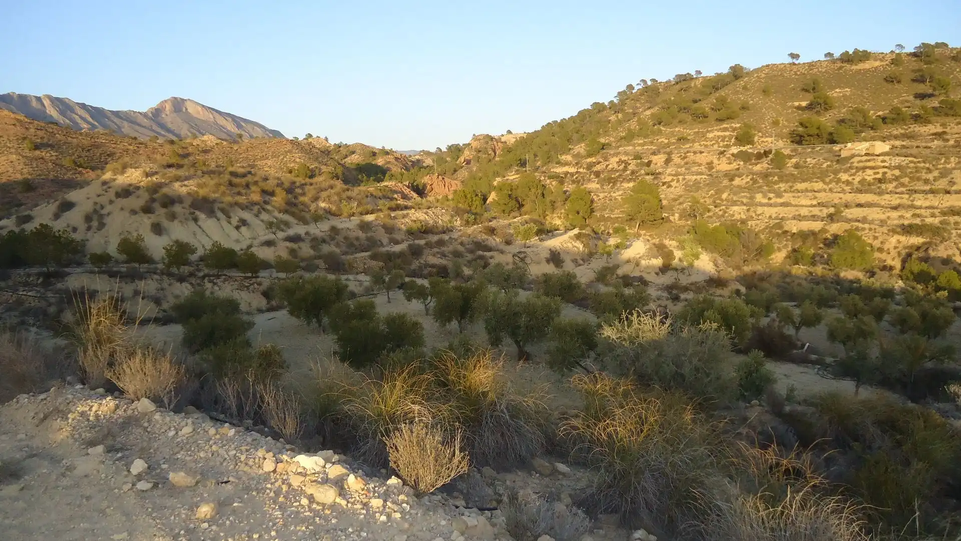 Lands and plots for sale in Abanilla, imagen 15