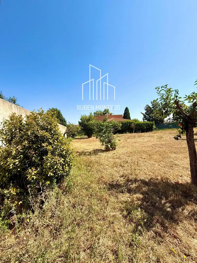 Rural land for sale in Cañaveral, imagen 13