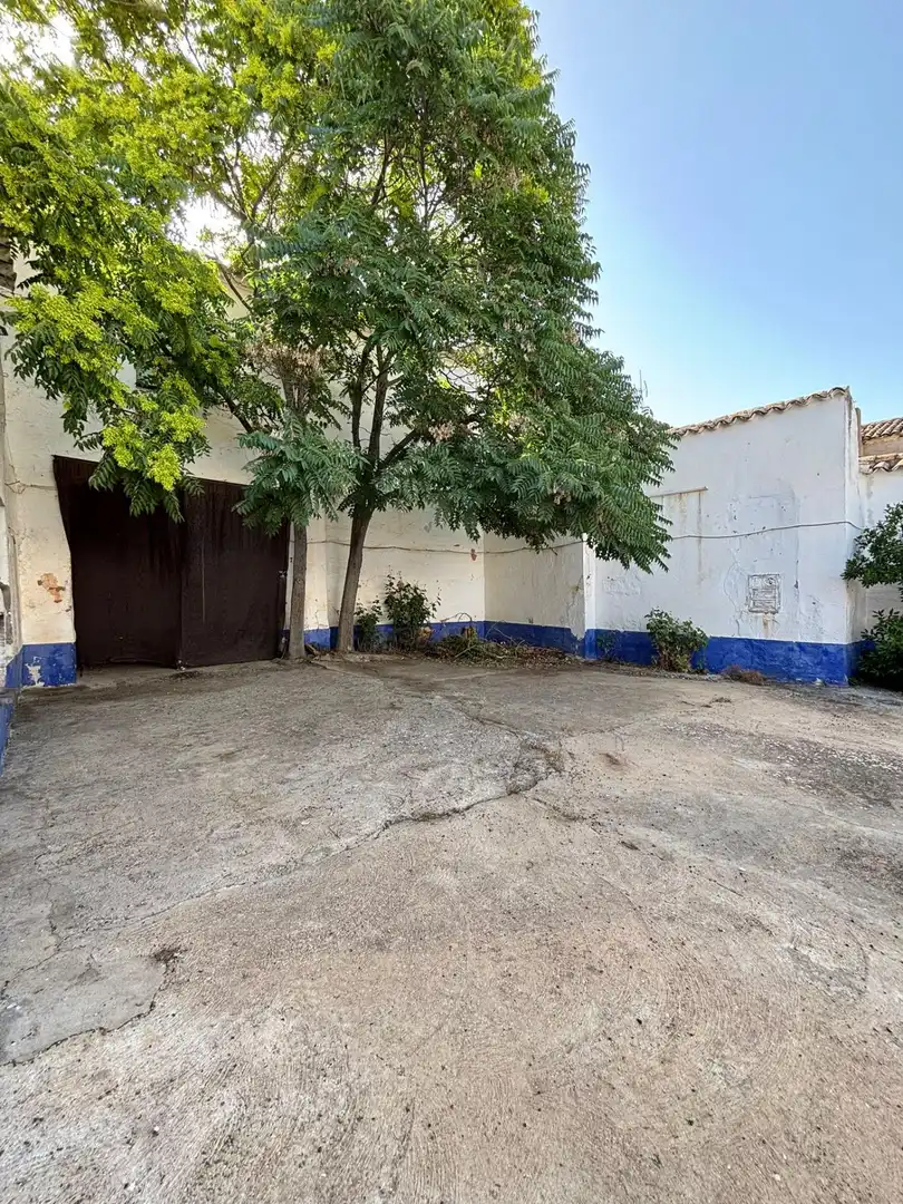 Casa o chalet en venta en San Carlos del Valle