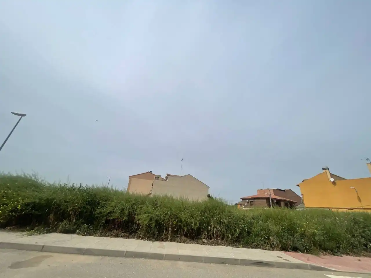 Terreny rústic en venda a Calle LA TORRE, imagen 3