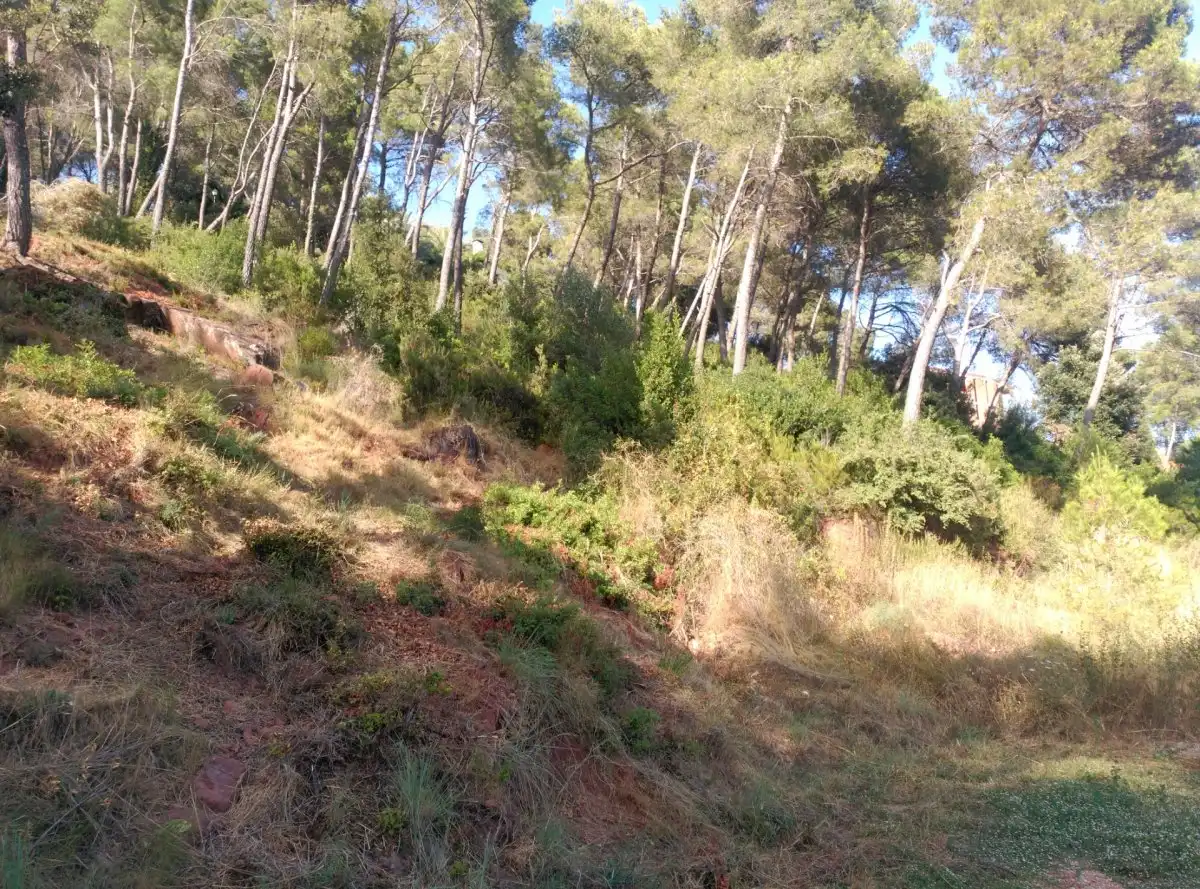 Terreni e lotti in vendita a Corbera de Llobregat, imagen 5