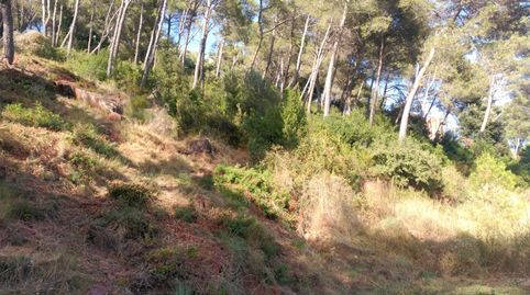 Espectacular terreno que da a dos calles, en Corbera de Llobregat, cerca Hotel Can Fisa., imatge 5