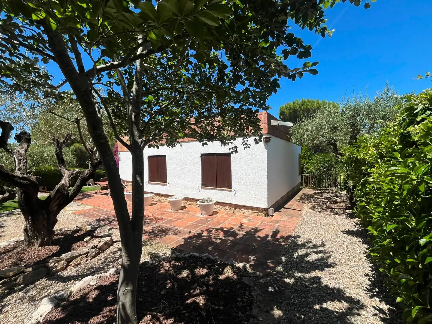 Jardí de Casa o xalet de lloguer en Gelida amb Jardí privat, Traster i Piscina