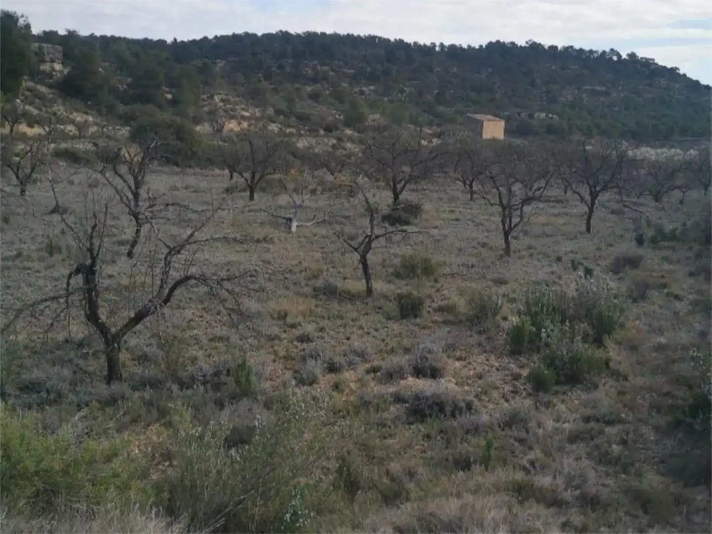 Finca rústica en venda en Nonaspe