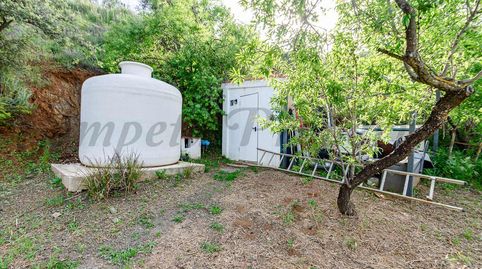 Foto 4 de Finca rústica en venta en Residencial Jardín Botánico, Málaga Capital