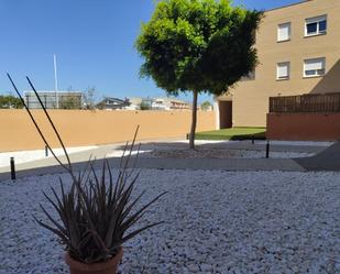 Jardí de Pis en venda en Las Torres de Cotillas amb Terrassa