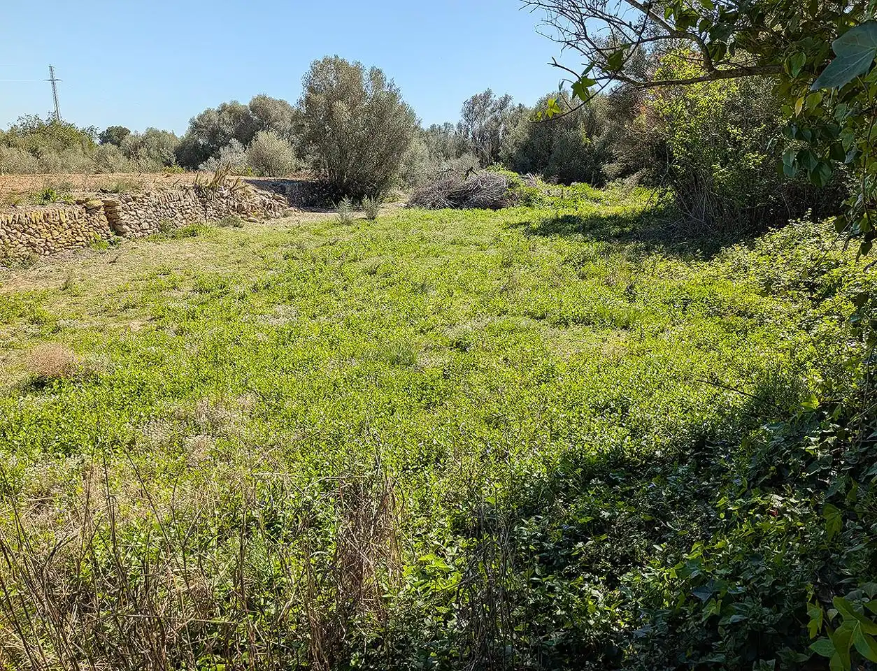 Country homes for sale in Vinaròs  with Swimming Pool