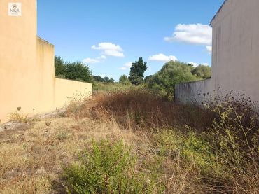 Terreni e lotti in vendita a Santa Margalida Poble