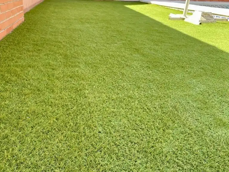 Jardí de Casa o xalet de lloguer en Mairena del Aljarafe amb Aire condicionat, Jardí privat i Piscina