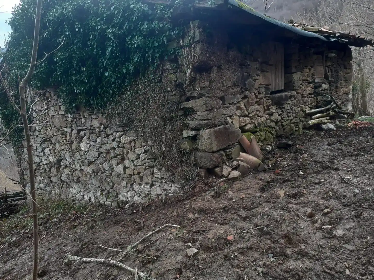 Vista exterior de Finca rústica en venda en Caso