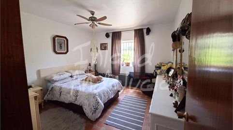 Foto 5 de Finca rústica en venta en Alcaucín, Málaga