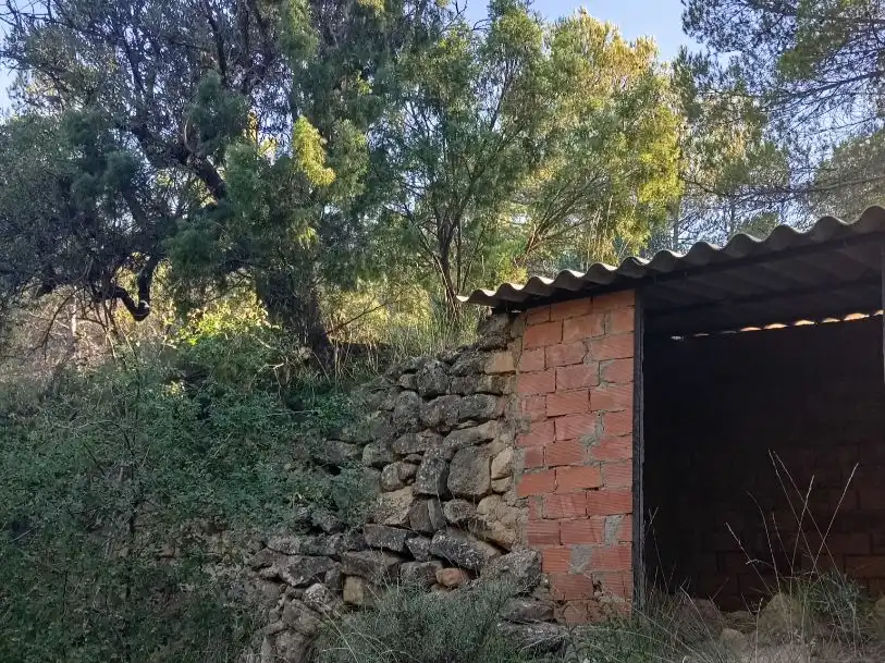 Vista exterior de Terreno en venta en Torre de Arcas