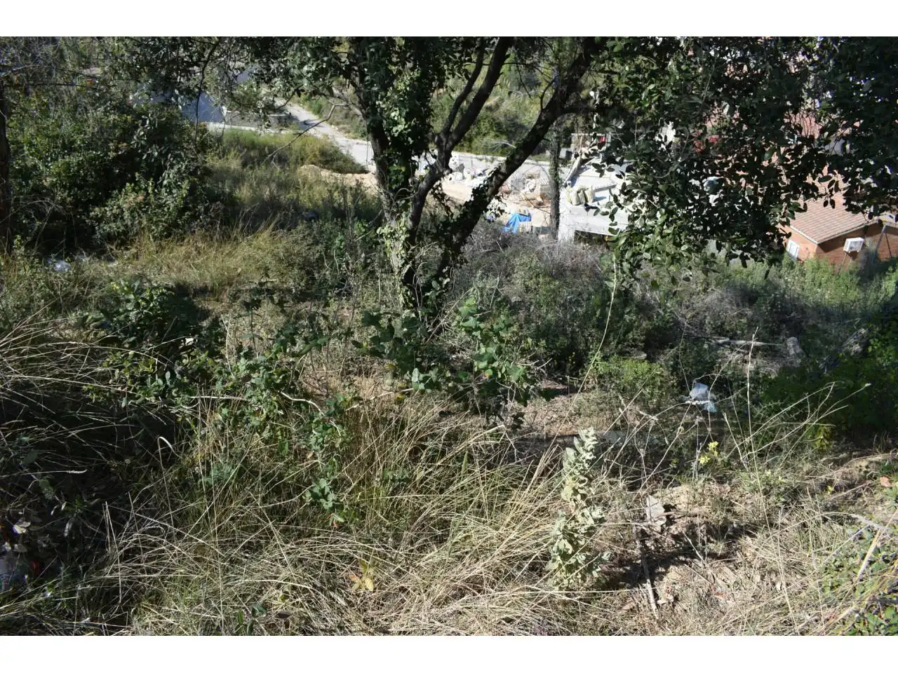 Terreny rústic en venda a Ponent, imagen 6