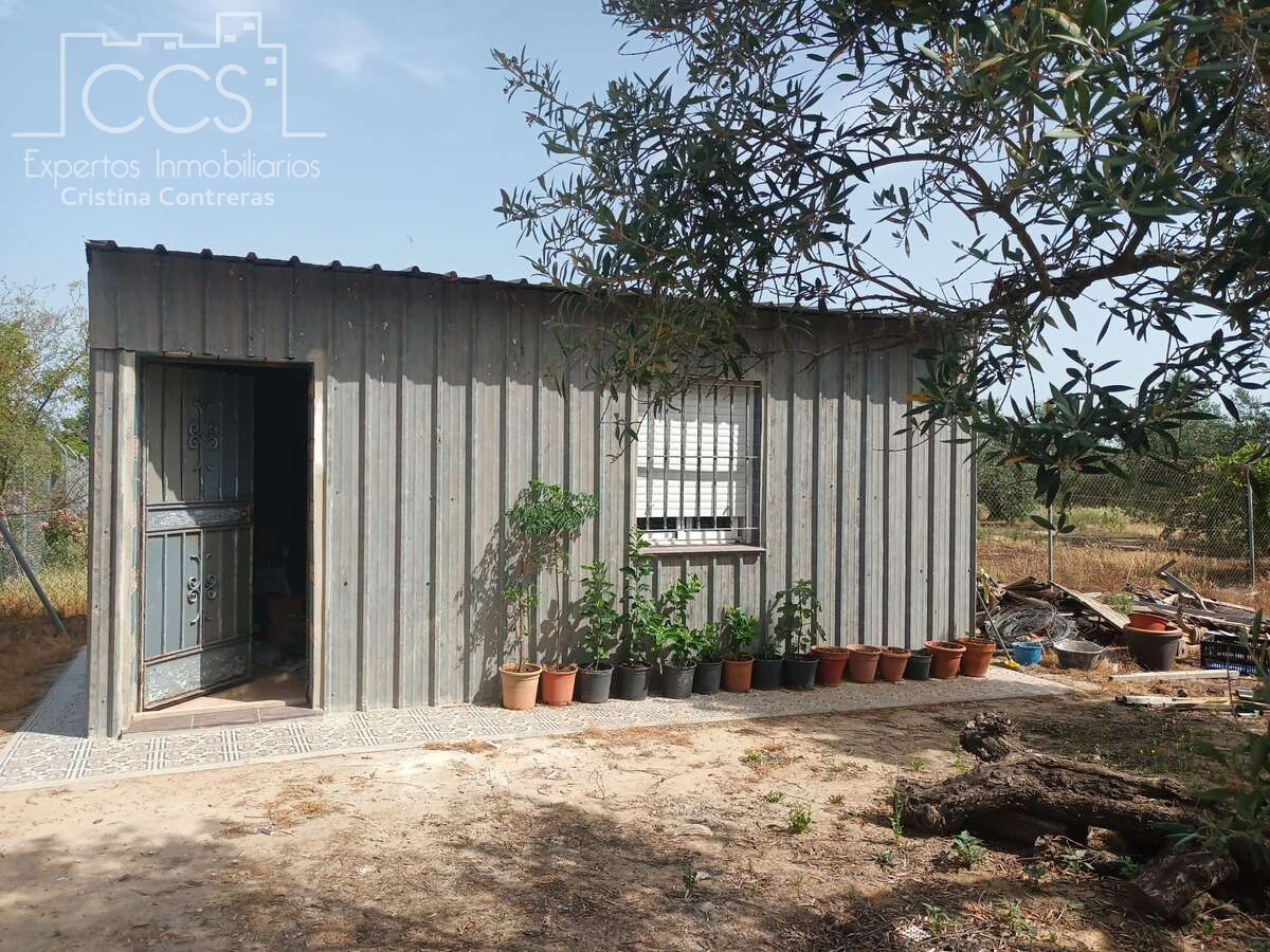 Vista exterior de Finca rústica en venda en Almonte amb Jardí privat, Terrassa i Traster