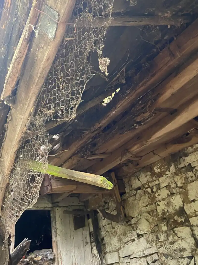 Maison rustique à vendre à SARABIA, imagen 8