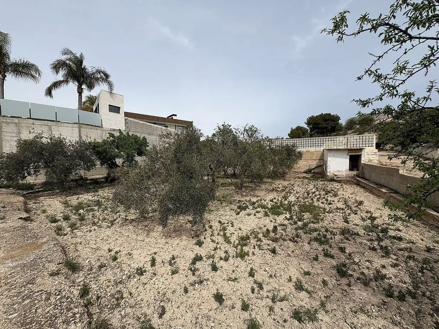 Country house for sale in Petrer, imagen 13