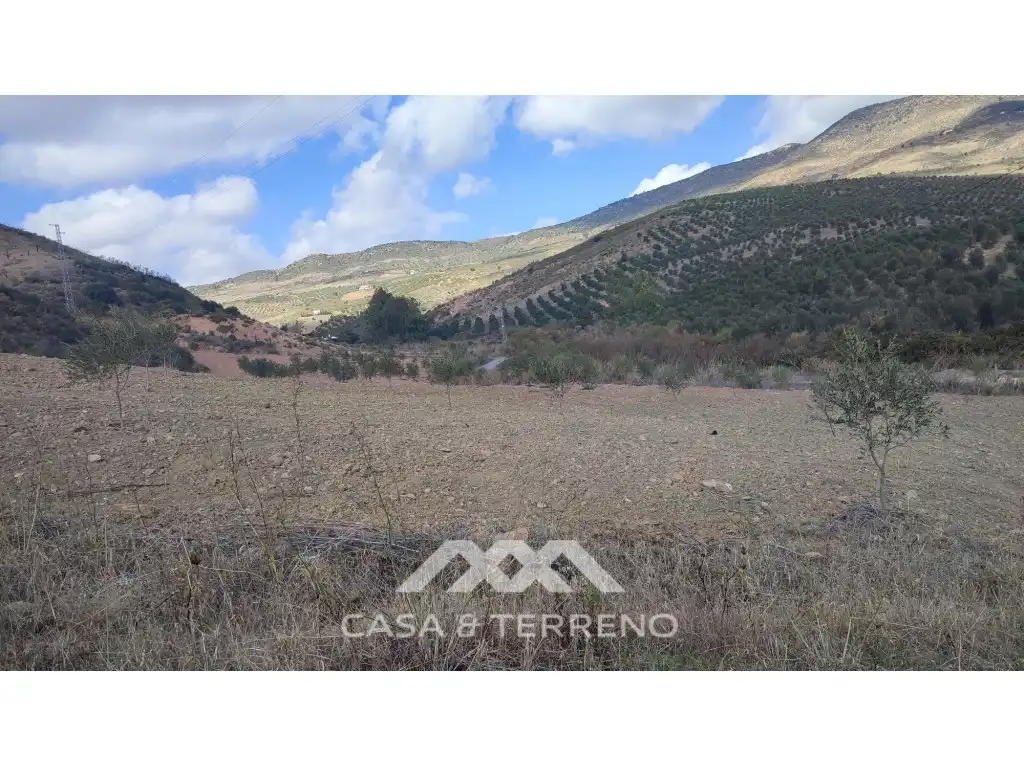 Terreni e lotti in vendita a Polígono 174 Parcela, imagen 2