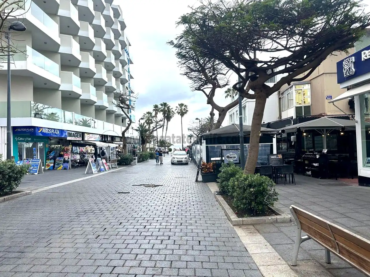Pis de lloguer a Zona Martiánez