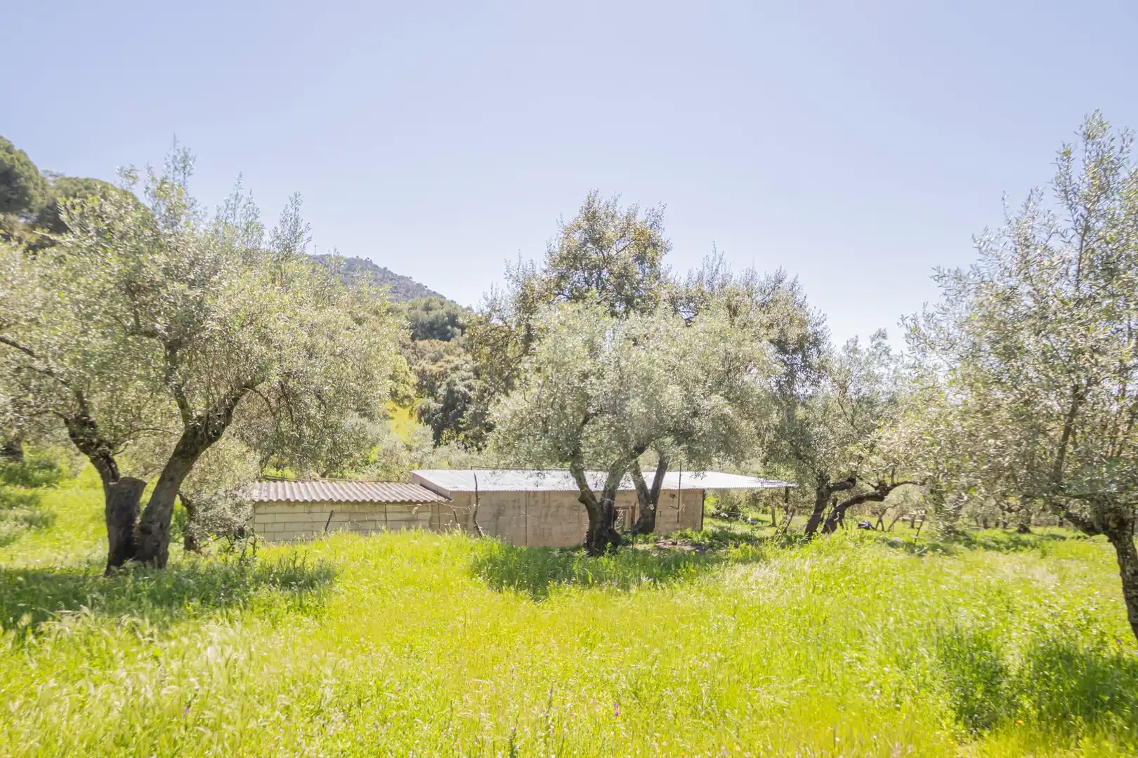 Grundstücke zum Verkauf in El Pedroso