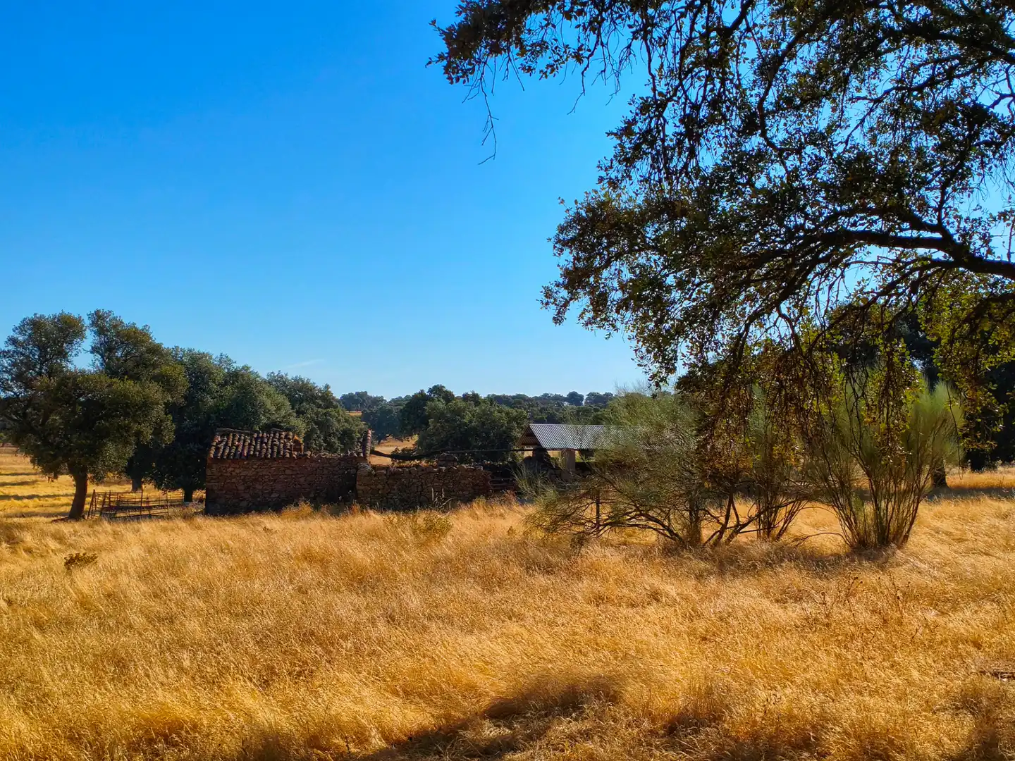 Grundstücke zum Verkauf in Dos Torres