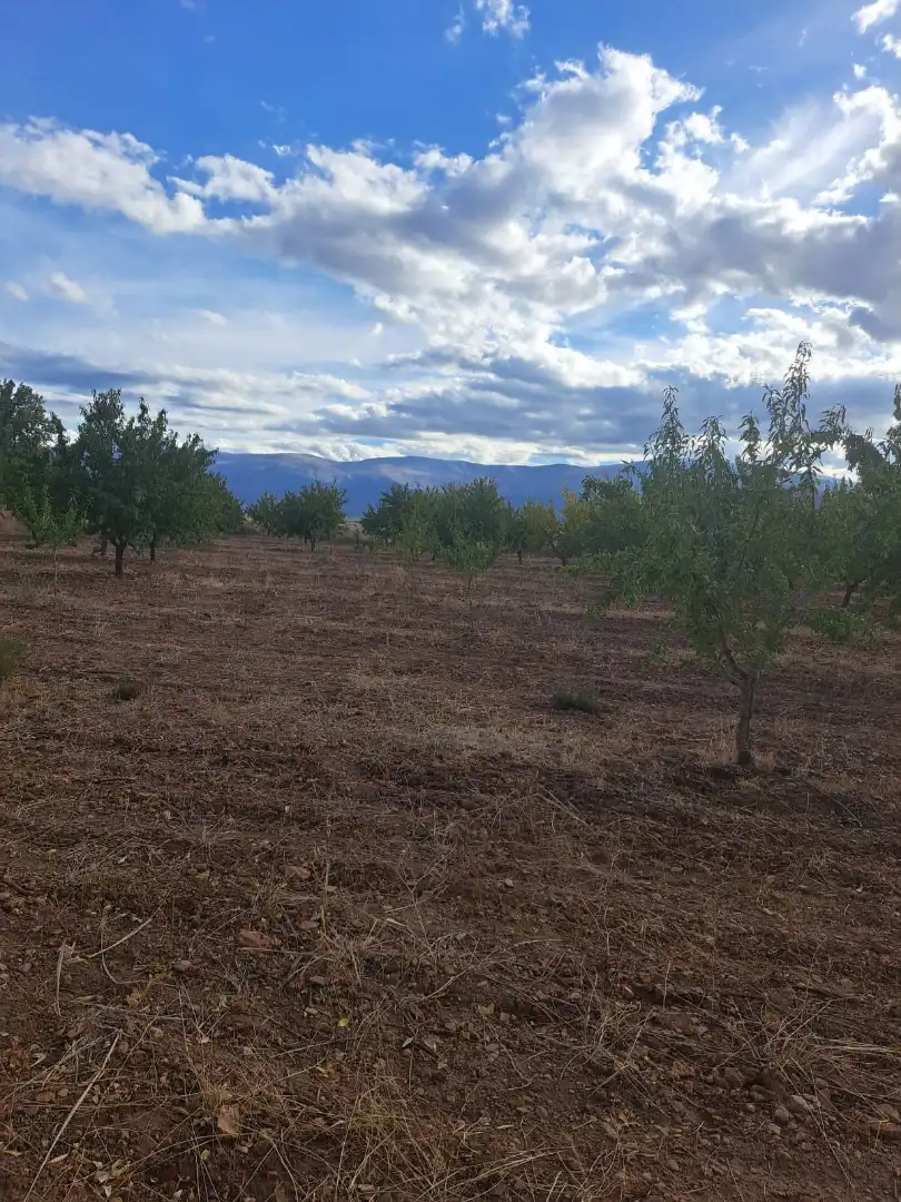 Rustikales Grundstück zum Verkauf in Guadix, imagen 2