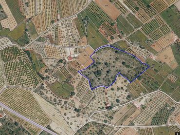 Rustikales Grundstück zum Verkauf in Navarrés