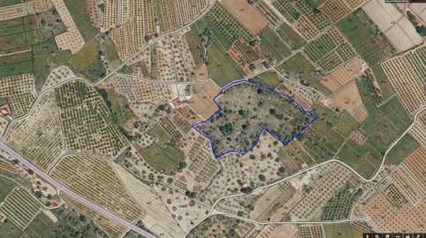 TERRENO RÚSTICO EN NAVARRES
