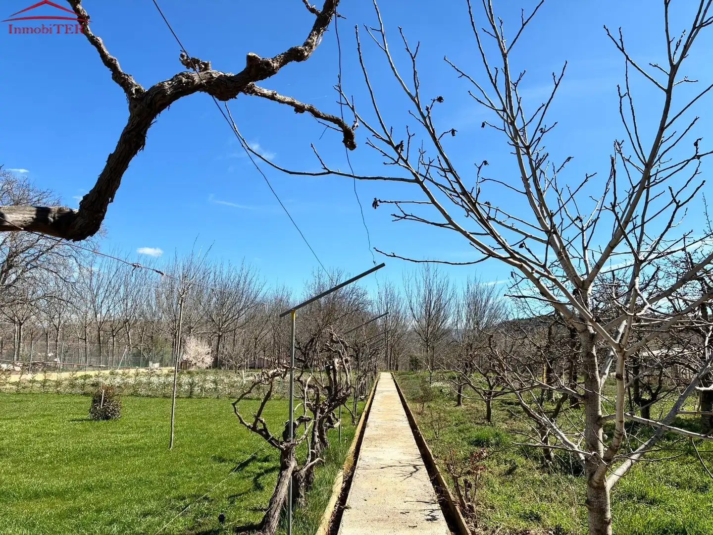 Garden of Houses for sale in Teruel  with Private garden and Swimming Pool