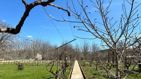 Photo 4 of Houses for sale in Pedanías, Teruel Capital