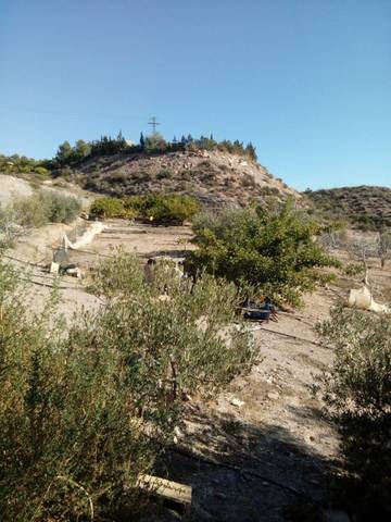 Finca rústica en Venta en Tébar - Los Arejos