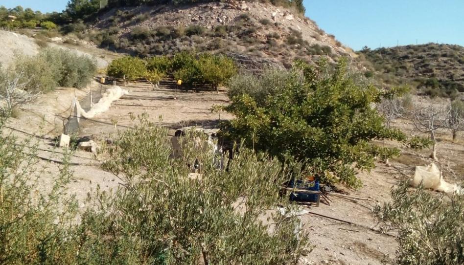 Foto 1 de Finca rústica en venta en Tébar - Los Arejos, Murcia